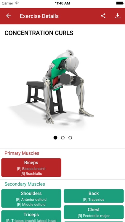 MuscleMatics