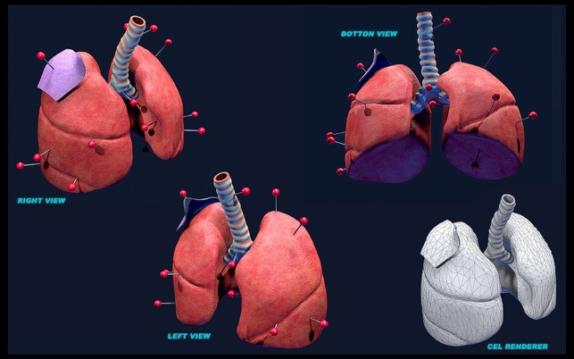 LungsProAnimated