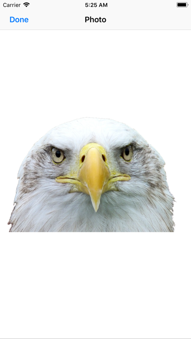 Exquisite Eagle Stickers screenshot 3