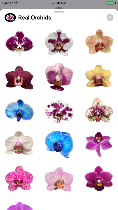 Real Orchid Stickers screenshot 3