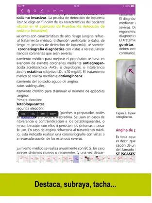 Captura de Pantalla 5 Manuales AMIR 2.0 iphone