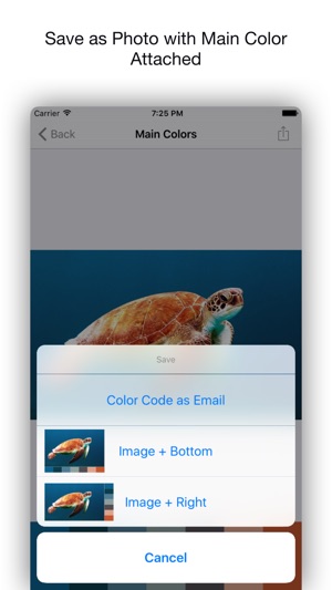 Get Colors+(圖3)-速報App