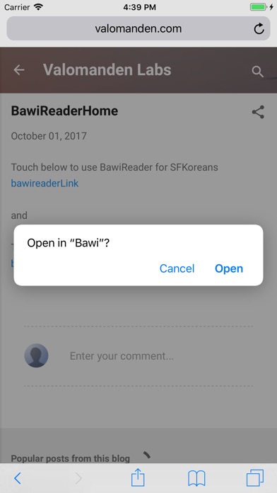 BawiReader screenshot 3