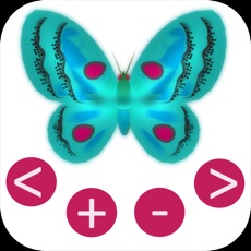 Activities of Butterfly Math