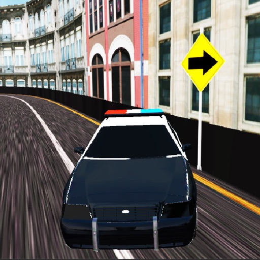 Tokyo Police Car Driving 3D