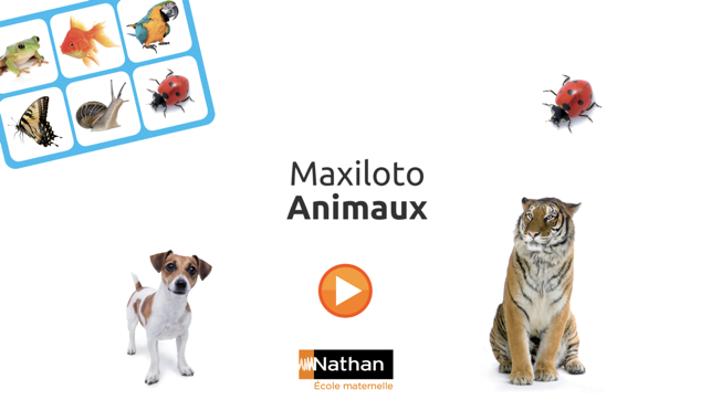 Maxiloto Animaux