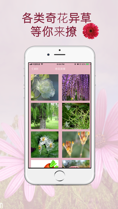 FlowersHerbs-看图拍照识花软件 screenshot 3