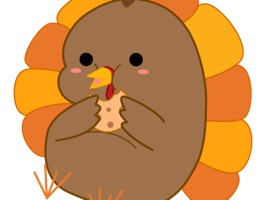 Give thanks every day and to everyone