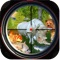 Welcome to the world of the four-footed real animals of safari forest (Jungle)