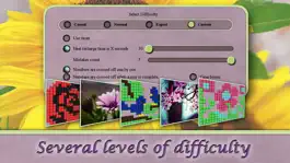 Game screenshot Flowers Mosaics apk