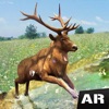 AR野生动物园 - 森林探险