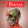 Head and Neck - Focus Medica