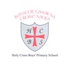 Holy Cross Boys' PS