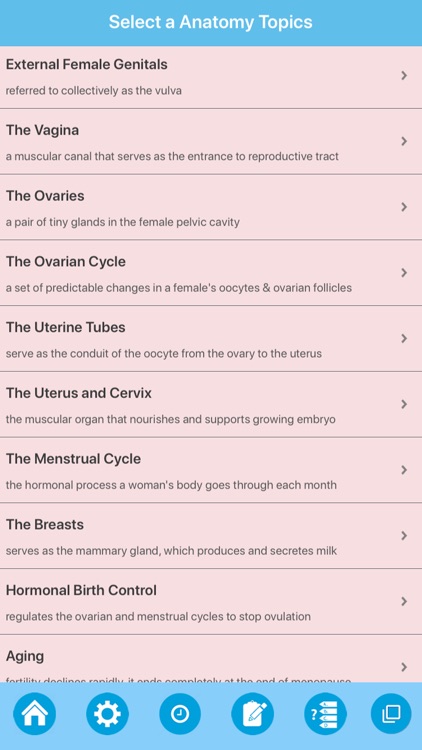 The Female Reproductive System