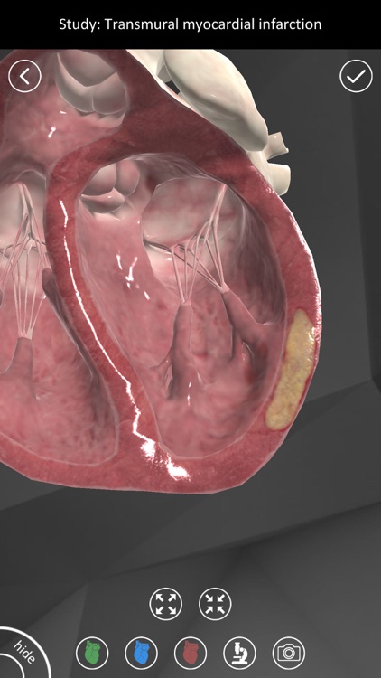 3D Sanator Pathology ZKGMU