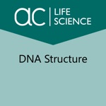 Exploring the Structure of DNA