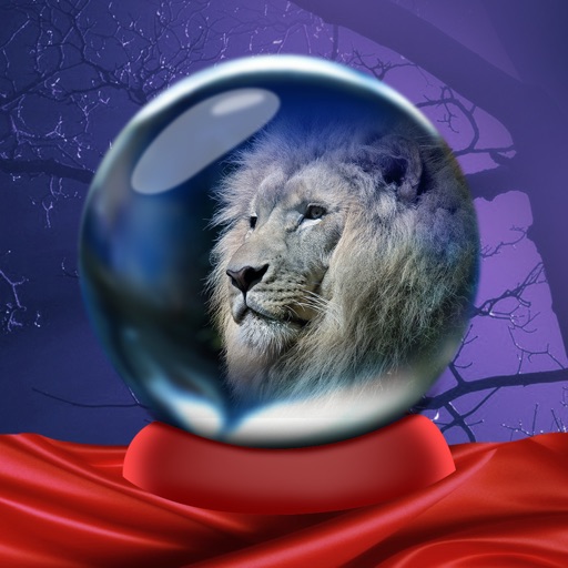What Animal Was I In My Past Life - Crystal Ball Icon