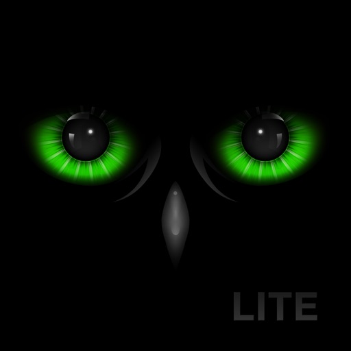 Night Eyes - Night Camera