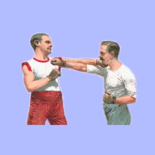 Vintage Boxing Moves Icon