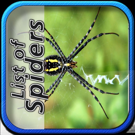 List of Spiders