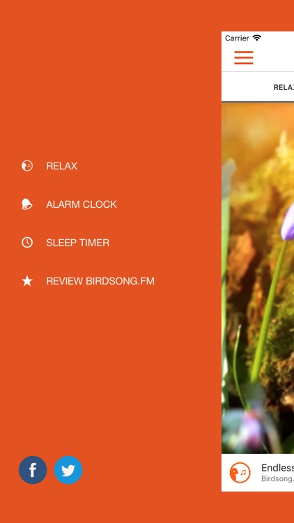 Birdsong.fm