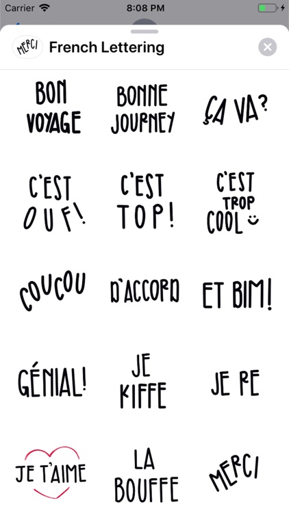 French Lettering screenshot-3