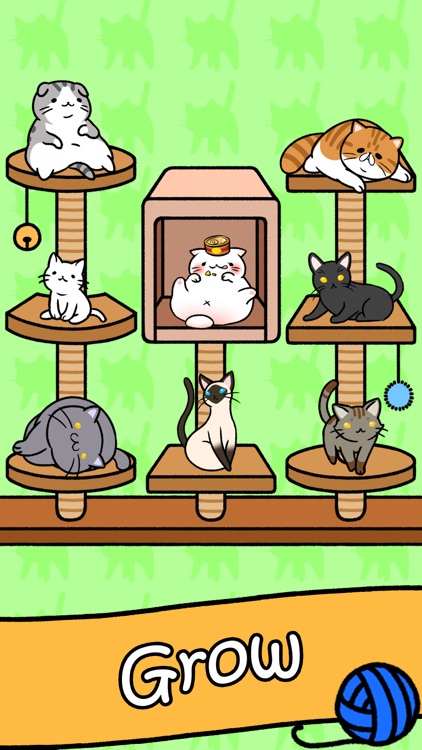 Cat Condo by Zepni Ltd.