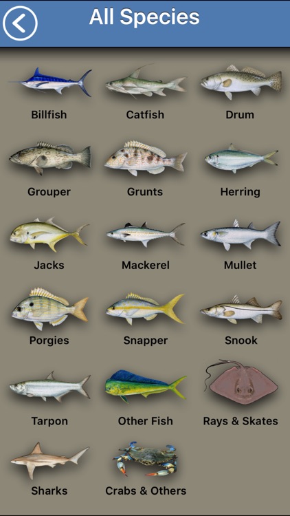 Fish the Gulf