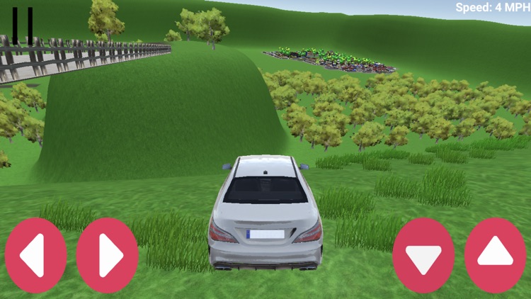 Car Expedition Lite screenshot-5