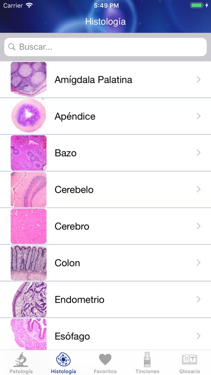 Patología Clínica screenshot-3