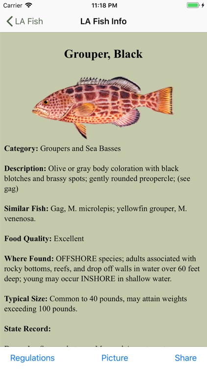 FL Saltwater Fishing Companion screenshot-3