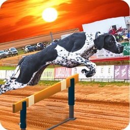 Dog Crazy Race Simulator 2023 by Muhammad Asif