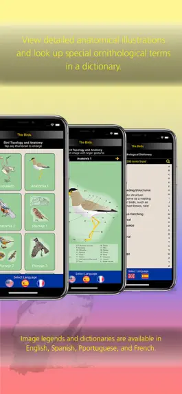 Game screenshot The Birds of Ecuador hack