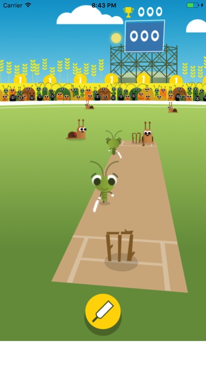 Cricket Play