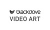Blackdove Video Art