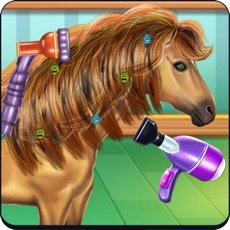 Activities of Horse Hair Salon