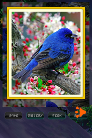 Spring Jigsaw Puzzles screenshot 3