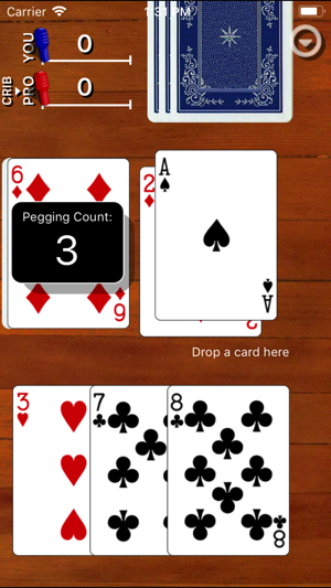 Cribbage Classic(圖2)-速報App