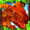 World of Dragons: 3D Simulator