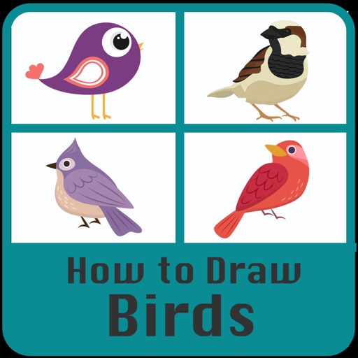 How to draw Birds Step by step iOS App