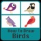 How to draw Birds Step by step