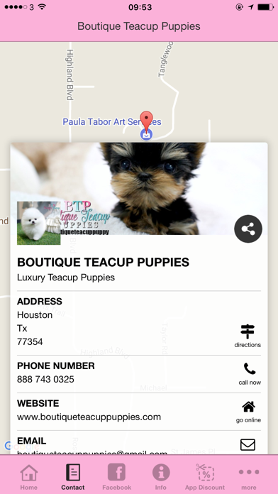 Boutique Teacup Puppies screenshot 2