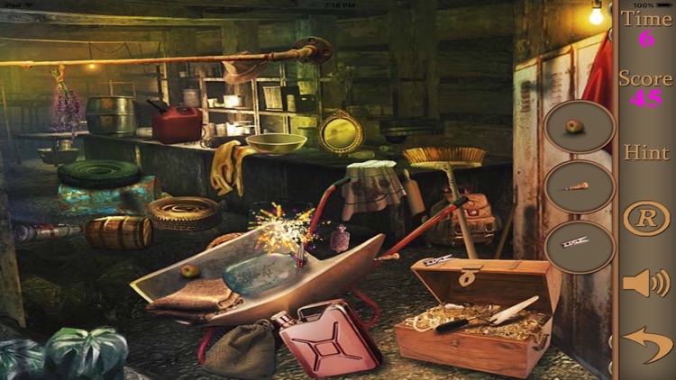 Hidden Objects!!!!!!!! screenshot-4