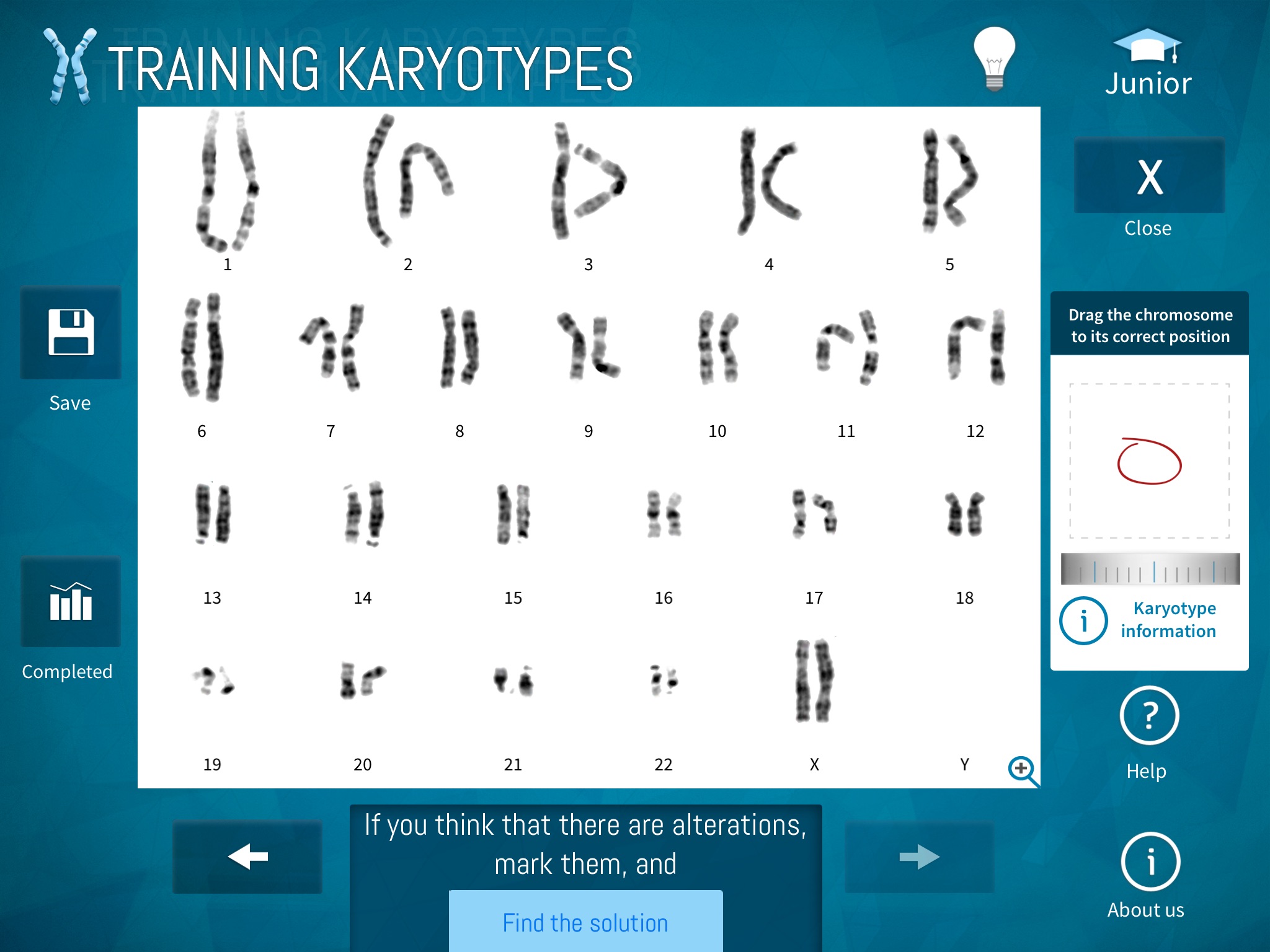 Training Karyotypes screenshot 4