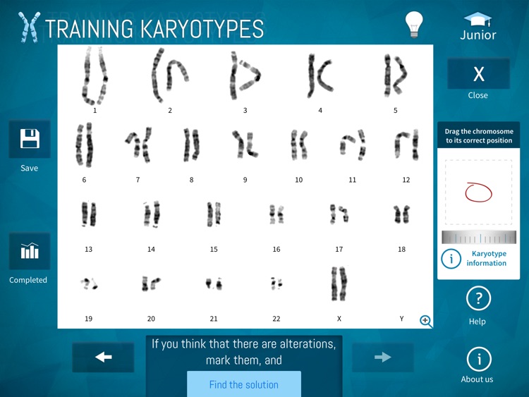 Training Karyotypes screenshot-3