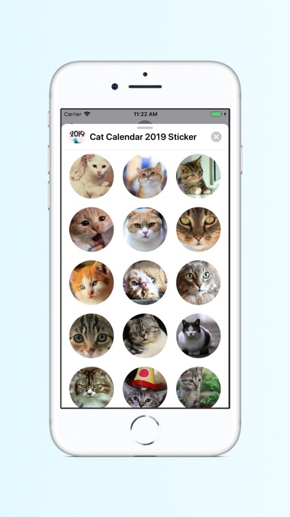 Cat Calendar 2019 screenshot-3