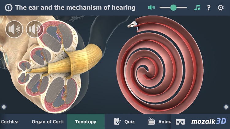 The mechanism of hearing 3D screenshot-4