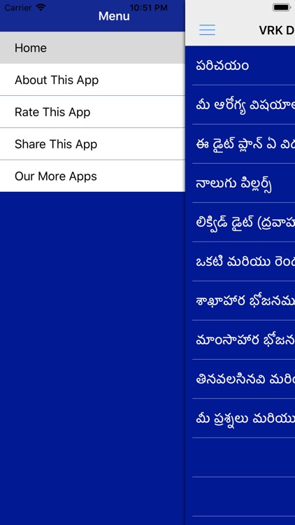 VRK Diet Plan Telugu Pro screenshot-5