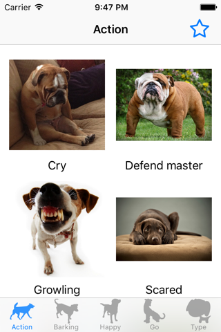 Dog sounds - Fun for dog lover - náhled