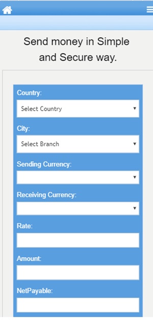 DatafieldRemit